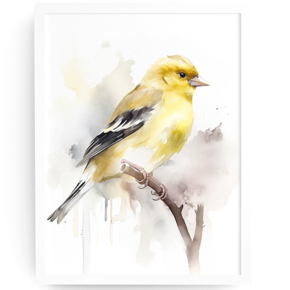 Watercolor American Goldfinch Bird Portrait Wall Art Illustration Print Unframed